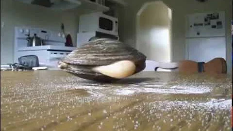 Come eliminare il bisso delle cozze?