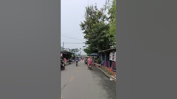 Đường vào chợ Thân Cửu Nghĩa sau sáp nhập thuộc xã Châu Thành Tỉnh Đồng Tháp #shorts #sapnhaptinh