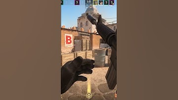 THE BEST TEAM I CAN ASK FOR #vishalplease #csgo #counterstrike #funny #gameplay #cs2clips #shorts