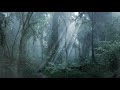 [環境音/ASMR]雨の降る音、生活音、森の音3時間/自然音#雨音 #環境音 #雨ASMR