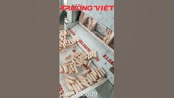 MÁY CẮT THỊT ĐÔNG LẠNH 8 CUỘN- TRƯỜNG VIỆT