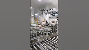 multi-lane liquid bottles robotic palletizer robot palletizer for loose bottles#roboticpalletizer