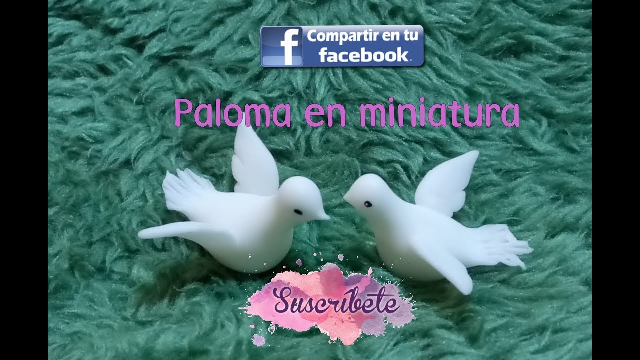 Paloma miniatura ((18 de agosto 2018))