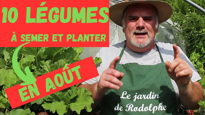 10 légumes à ne pas manquer en août : Semis et plantation dans votre potager!