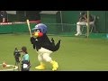 ヤクルトつば九郎かってに打撃練習