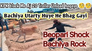 Northern Bypass Mandi 2024 update ||KPK block Me Unloading ||Life Of Karachi #cow