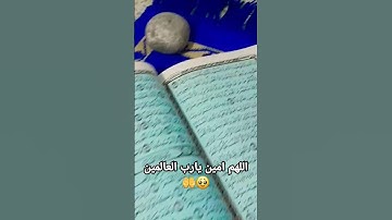 اللهم امين يارب العالمين 🥹🤲 #سورة_الكهف #حمزة_بوديب #لايك #تيك_توك #ترند  #اكسبلور