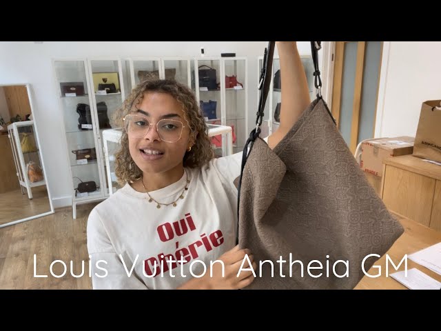 Louis Vuitton Grey Granit Suede Antheia Hobo PM Shoulder Bag