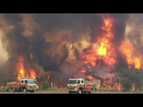 Video: Çfarë Lloj Kafshe Do Të Jetë Viti 2020?