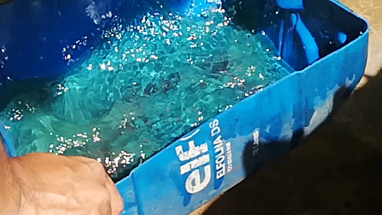 What's inside fuel tank. YouTube