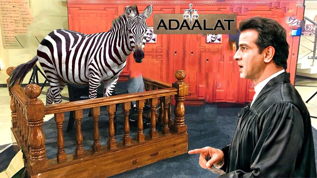 কেডি পাঠকের আদালতে সাক্ষ্য দিতে আসে জিরাফ  || Adaalat আদালত || Full Episode 2025