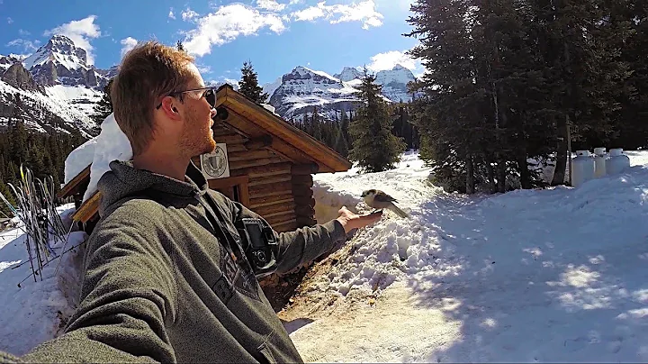 Ski Trip to Elizabeth Parker Hut