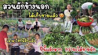 EP.656 It’s very dry in Korea this year. It takes a longer time to cut and sell vegetables.