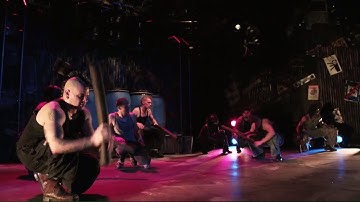 Stomp - Live 2009 (The most interesting moments)