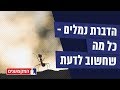 איך מדבירים נמלים 