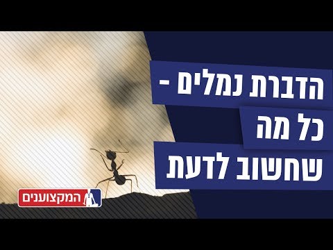 וִידֵאוֹ: איך להיפטר מדו-כיווני בבית פרטי