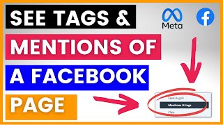 How To See Tagged Posts & Photos On Facebook Page? [in 2023]
