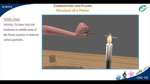 Combustion and Flame-Structure of a Flame