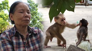 Grandma Wanted To Name The Wild Monkey... | BA CAN 1956