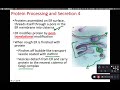 BIOL 214 Protein Processing and Secretion (Ch 4 Part 6)