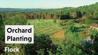 Planning and Planting the ORCHARD — Ep. 101