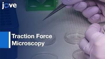 Novel Method For Localizing Reporter Fluorescent Beads Near Cell Culture Surface l Protocol Preview