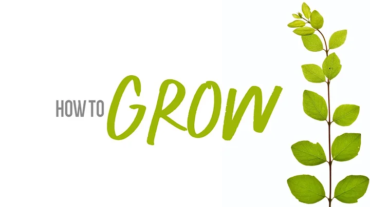 How to Grow- February 9, 2022