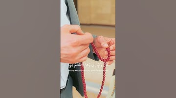 آية من سورة مريم✨شريف مصطفي.
