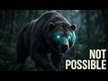 The Nandi Bear: Investigating the Creature That Should Not Exist