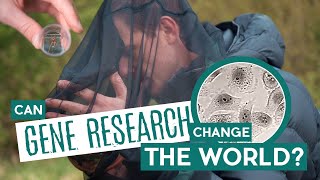 Can Gene Research Change The World? | Wytham Woods