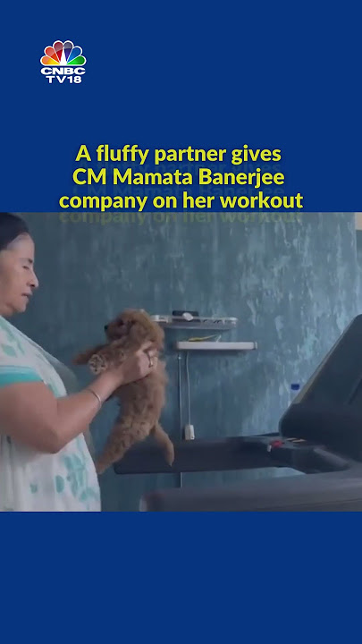 Mamata Banerjee's Workout Buddy! Mamata Banerjee Walks On Treadmill Holding Pet Dog | CNBC-TV18