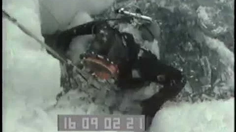 Getting Out of the Water