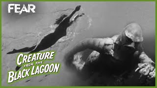 Swimming in The Black Lagoon | Creature From The Black Lagoon (1954)