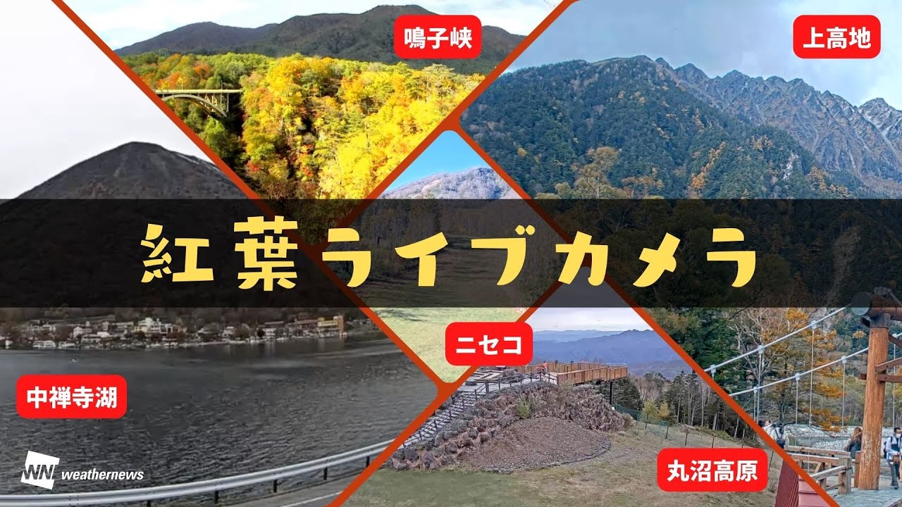 活動歴および当時の関連ビジュアル記録