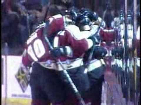 Highlights 21910