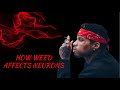 How Weed Affects Neurons