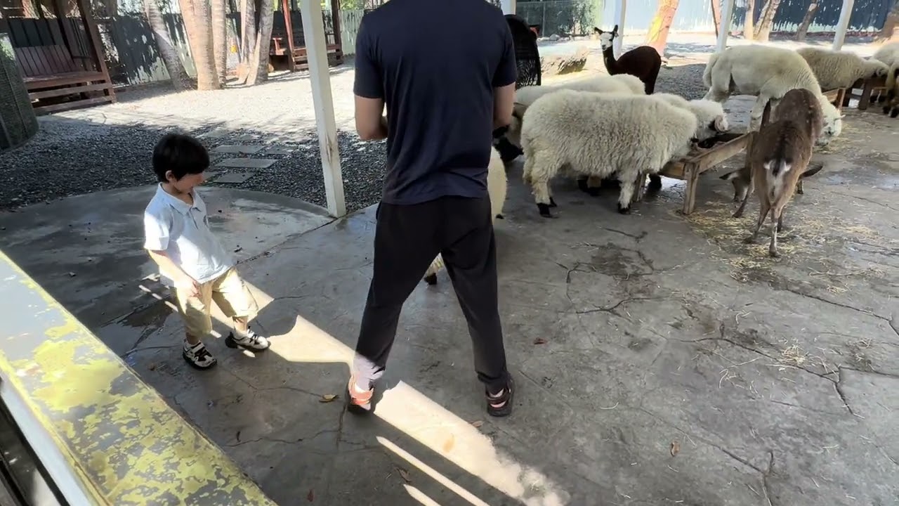 带着孩子逛农场啦，风景不错，球球还喂了小动物，真的很开心的一天呢