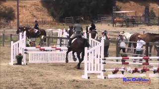 122S Suze Randall Knipe SR Novice Rider Show Jumping Shepherd Ranch June 2013