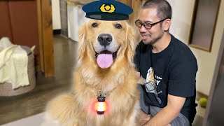 散歩中は言う事を聞いてくれない犬のお巡りさん