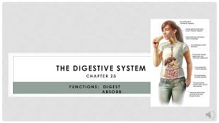Chapter 22 Part 1 Digestive Video