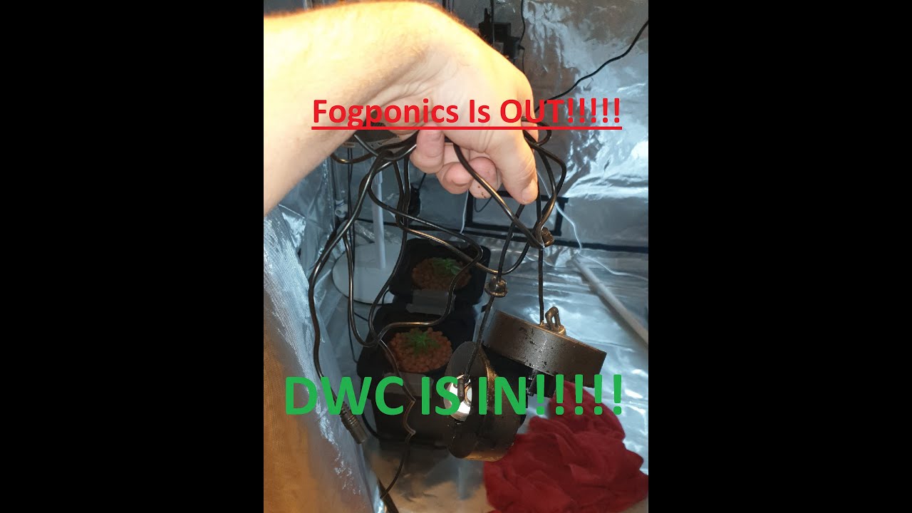 Hydroponic Cannabis Grow Series (step by step) Part 1 (b?)