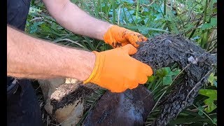 Blocked Drain 353