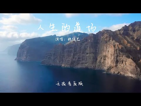 人生的道场 魏佳艺  名利 最初 时光 风光 奔忙  悲凉 人模狗样 回忆 迷茫 华语流行音乐