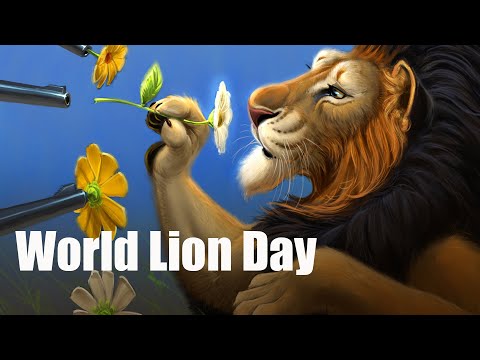 Live Stream - Drawing for World Lion Day 2019