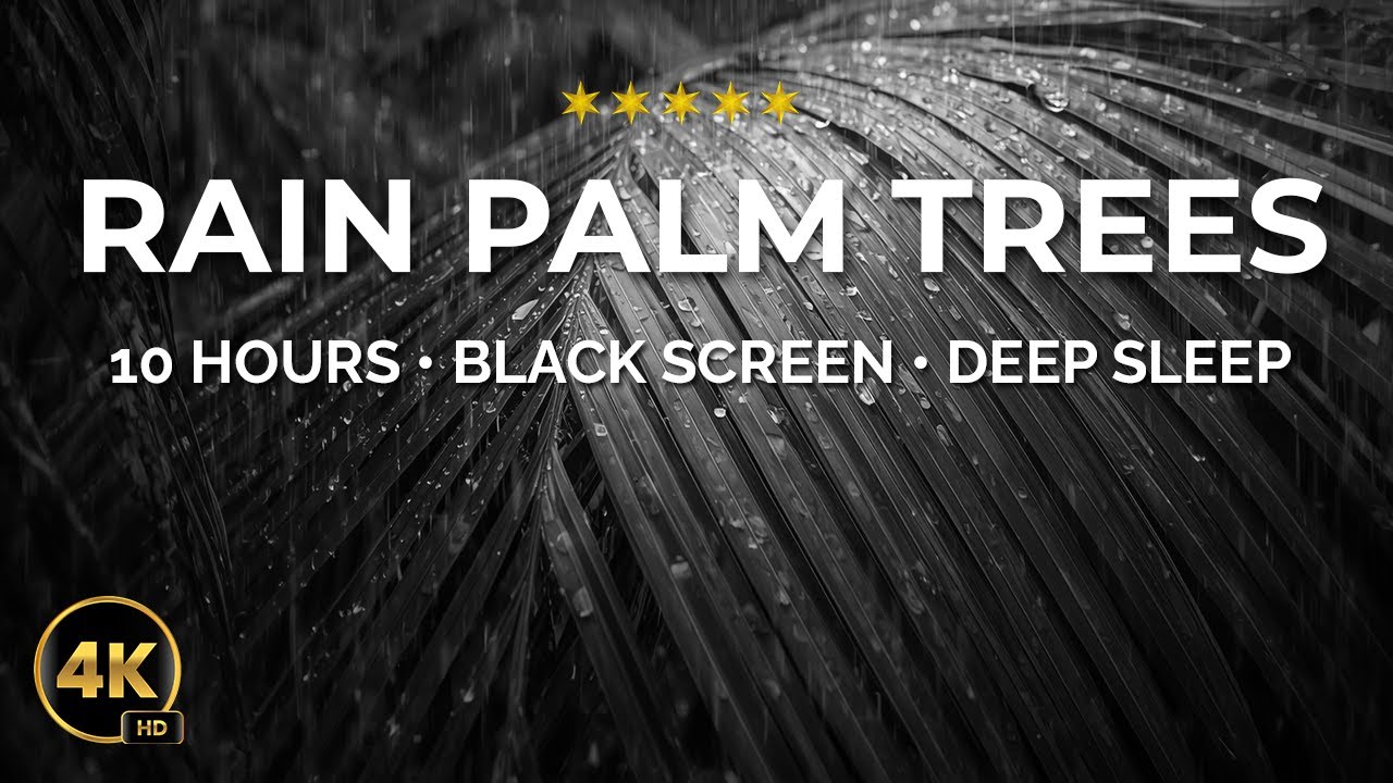 10 Hours of Rain Under Palm Trees 🌧️🌴 | Tropical Rain Sounds on Black Screen for Sleep & Relaxation