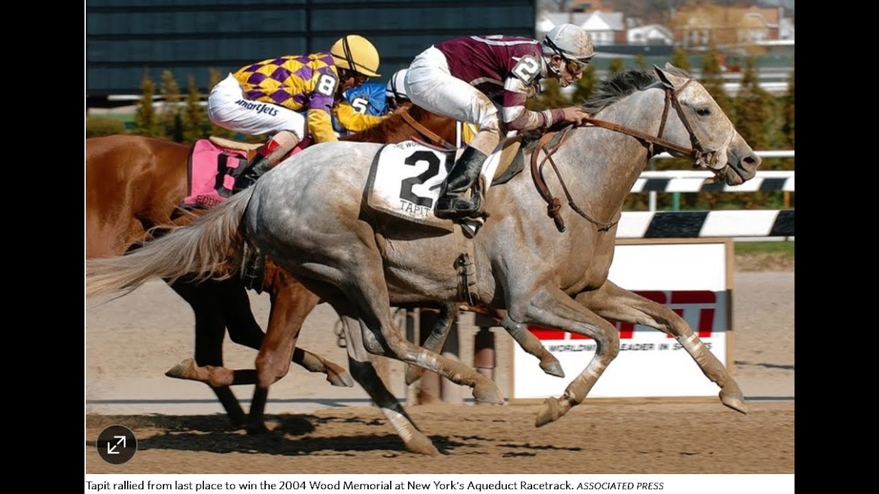 TAPIT Wood Memorial Stakes (G1) 2004