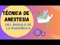 Técnica del Ángulo de la Mandíbula  💉