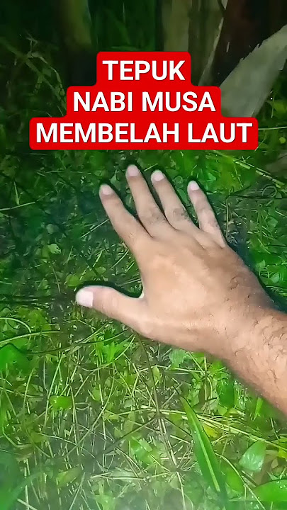 DOA NABI MUSA SAAT MENGALAMI KESULITAN HIDUP