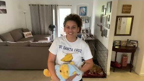 EJE Zoom PE: Tossing & Catching: Self Toss