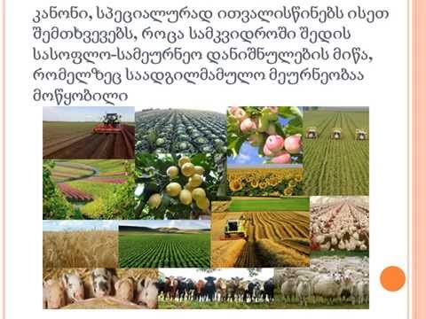 სამკვიდროს გაყოფა სალომე ნარიმანიძე